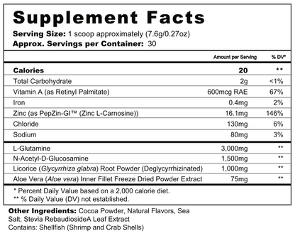 Gut Rebuild Nutrients Powder - Chocolate SFP