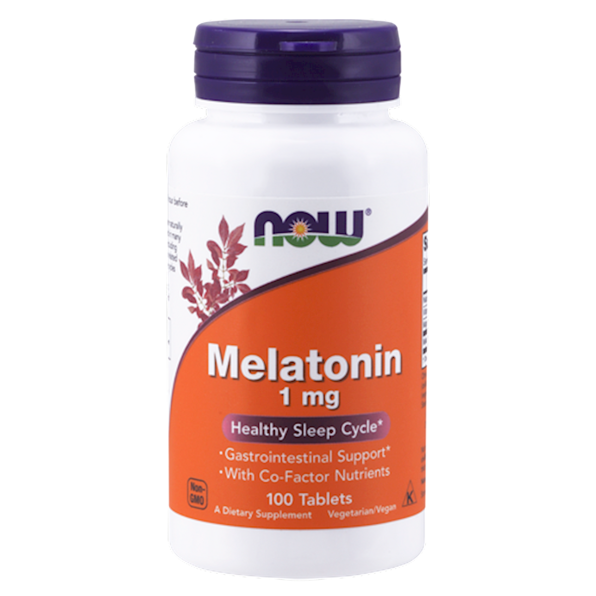 Melatonin 1 mg – The Ruscio Institute LLC