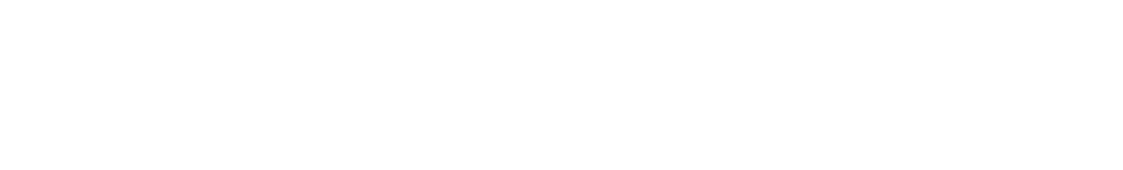The Ruscio Institute LLC